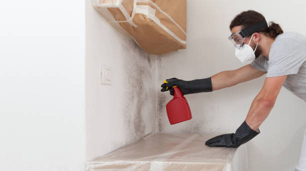 Professional Mold Inspection And Testing technician working in Broomall, PA