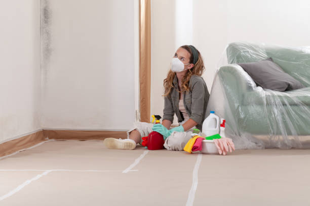 Reliable Mold Inspection And Testing contractor in Broomall, PA by Car Mold Remediation